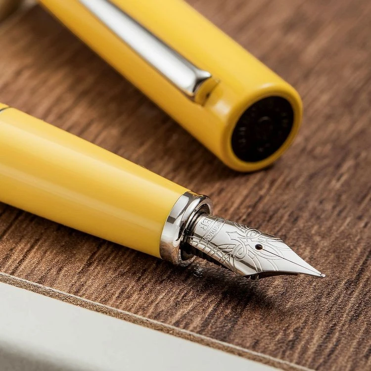 Student-friendly Style Fine Point Pen Set Hongdian C2 best
